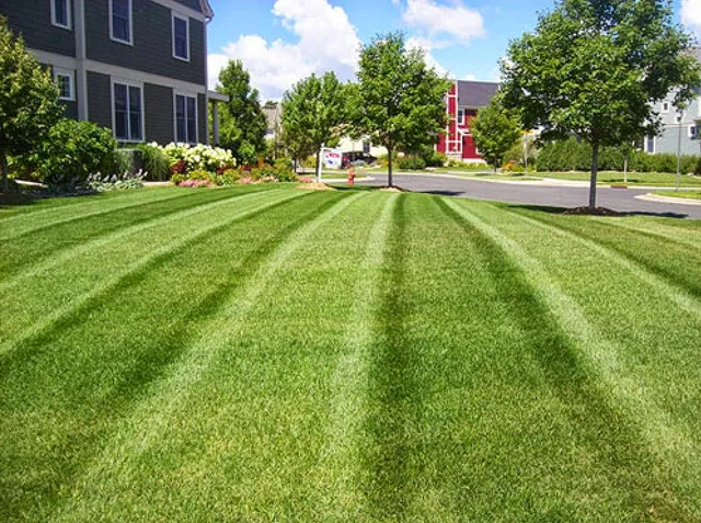 Horticultural DNA Inc