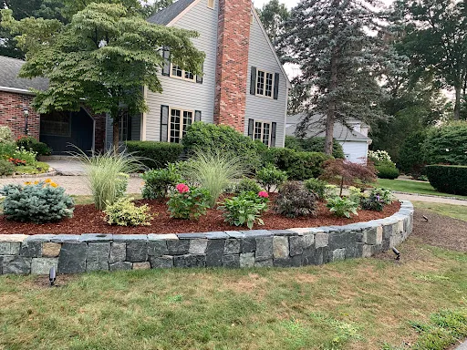 DD Elite Landscaping work photo