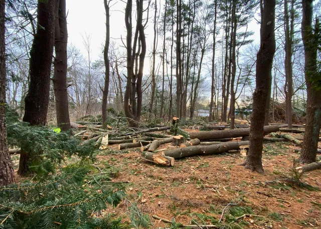 work photo from evergreenlawnandlandscape.com