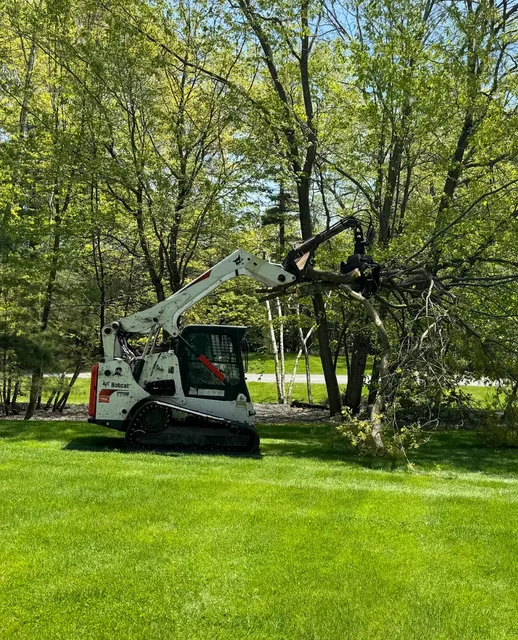 Tip Top Tree Service, LLC work photo