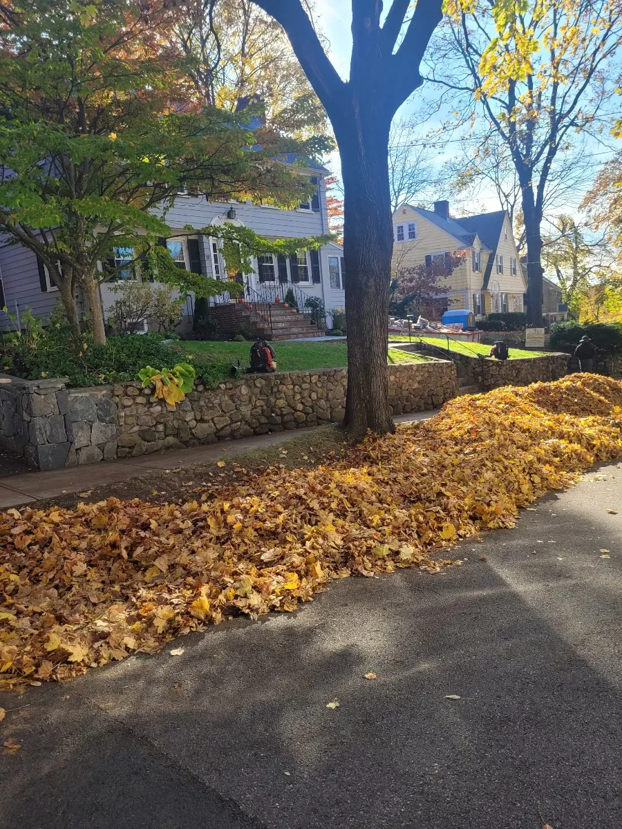 J.A.C Landscaping Inc.