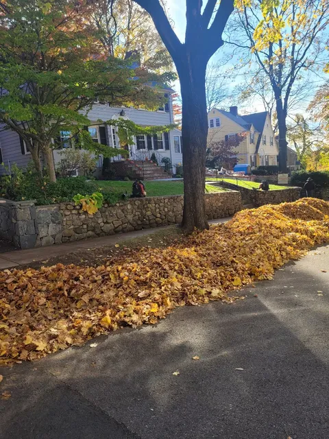 J.A.C Landscaping Inc.