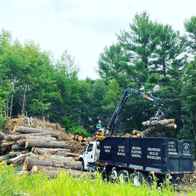 Beaver Tree Works work photo