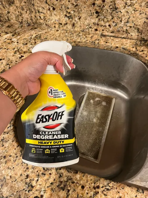 VIEGAS CLEANING AND PROFESSIONAL ORGANIZER SERVICES