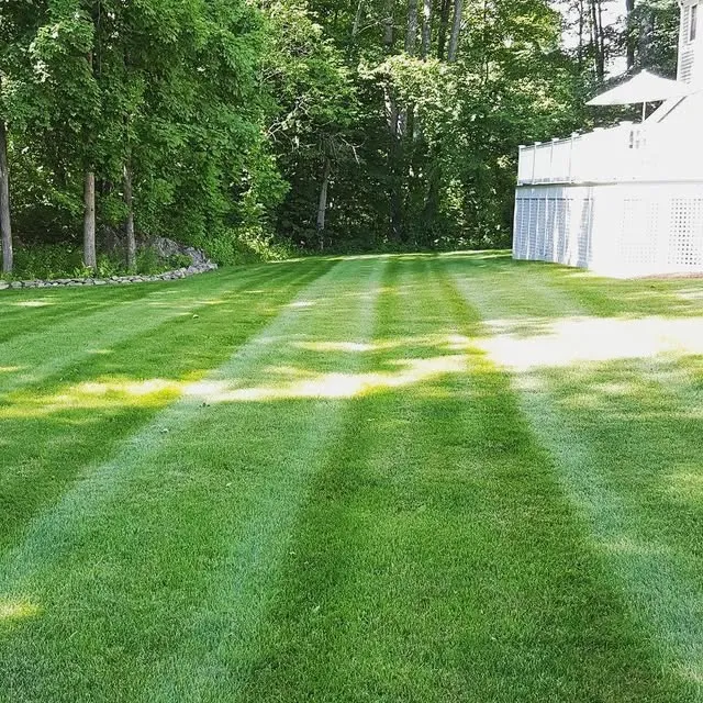 Sea of Green Lawn Care, LLC researched project photo