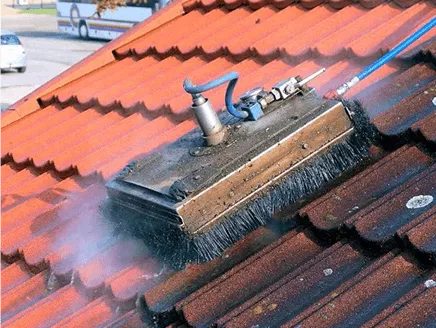 Roof Cleaning