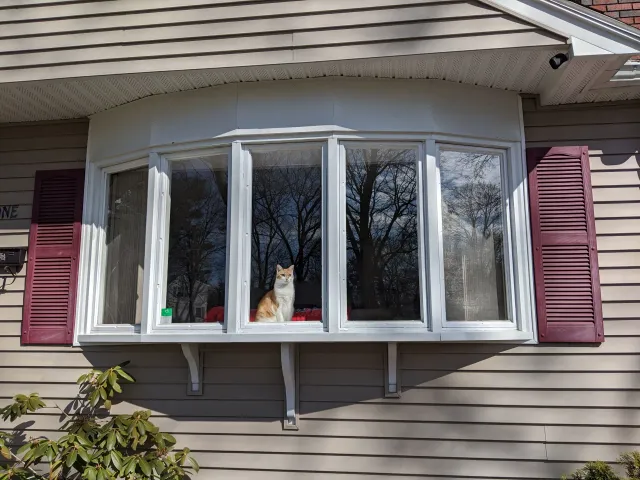 Ultimate Windows Inc work photo