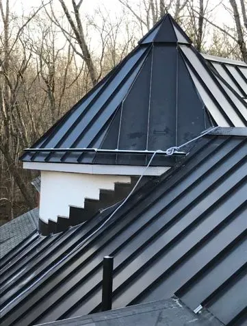 Black metal roof with a small dormer and pyramid roof, set against bare winter trees.
