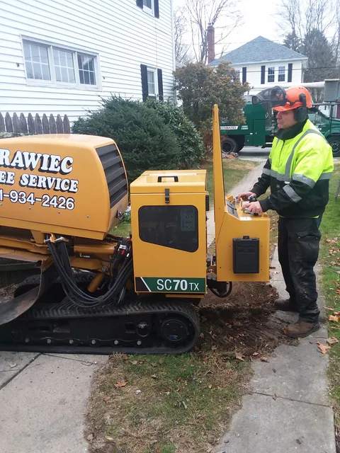 Krawiec Tree Service, Inc work photo