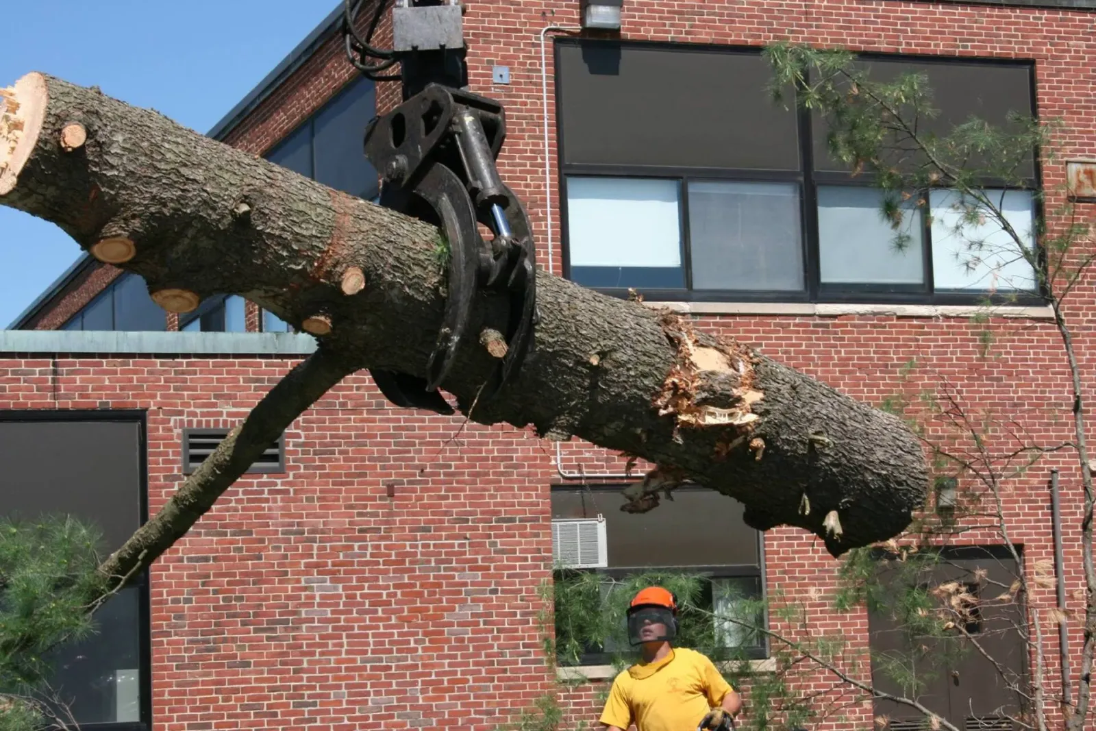 work photo from atomictreeserviceinc.com