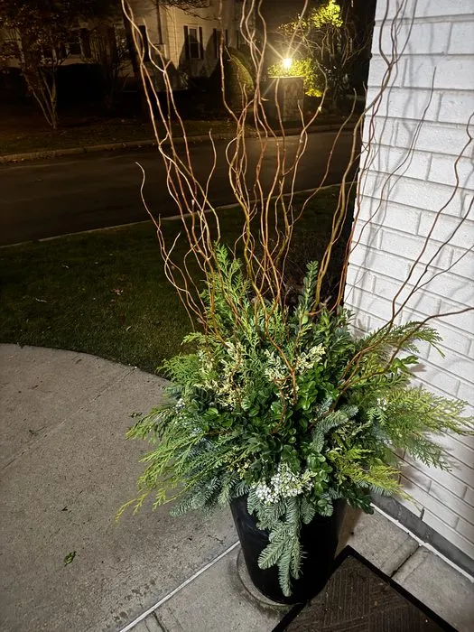 Winter container with curly Willow branches, Boxwood, evergreen greens, and white berries, lit at night