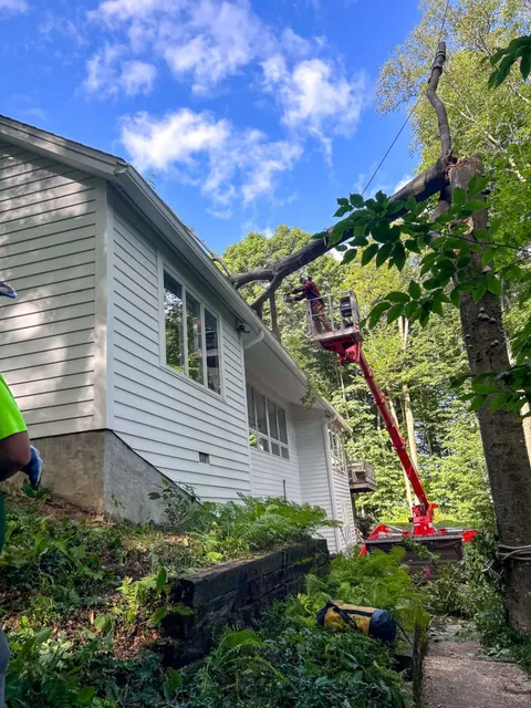 7.26 Emergency tree service