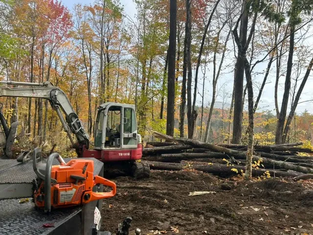 Tommy Tree & Excavation work photo