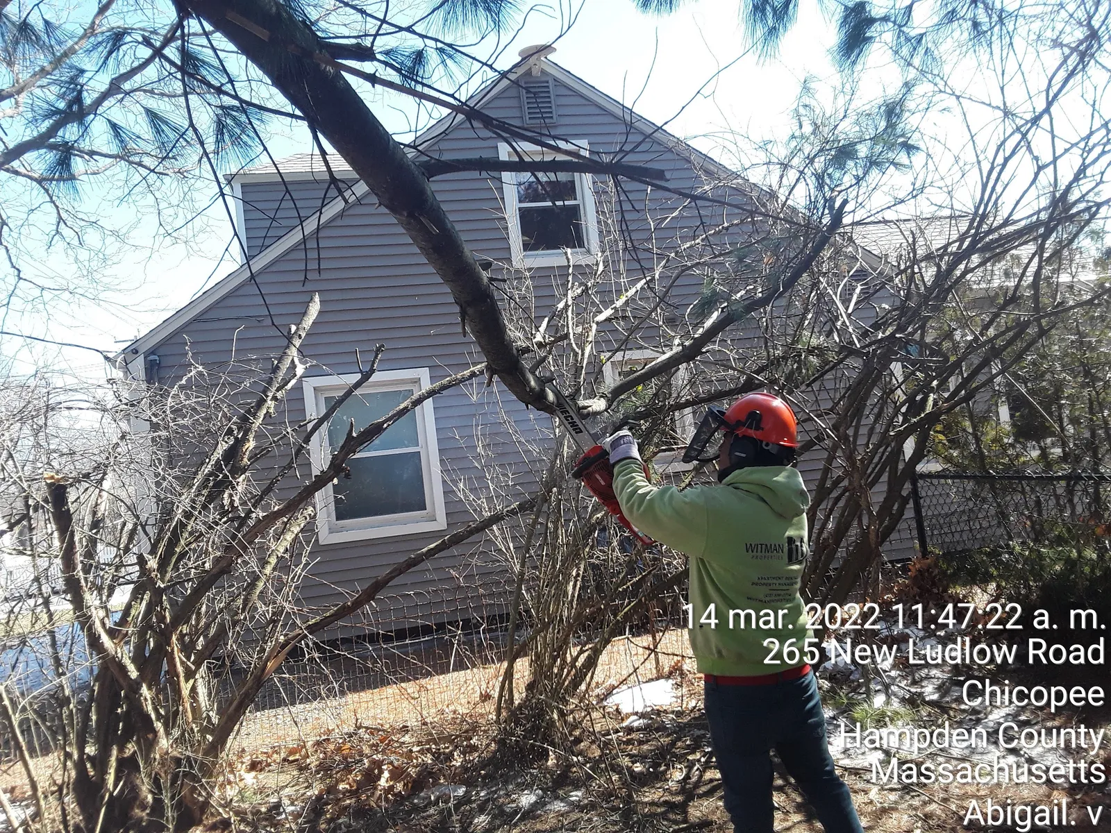 work photo from Google listing