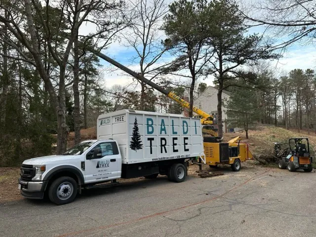 Crane Service