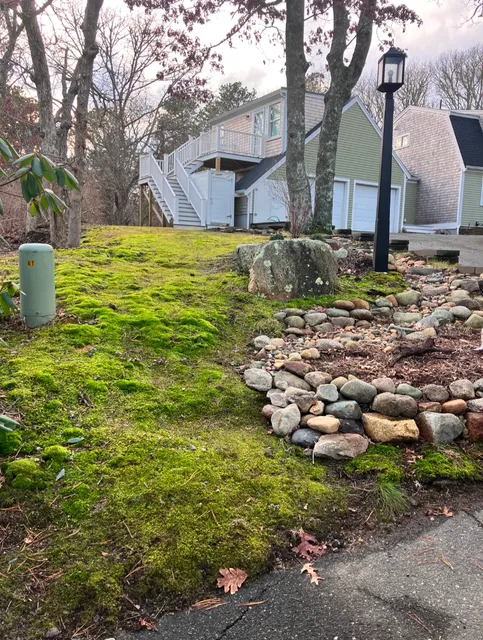 Terra Firma Permagardens work photo