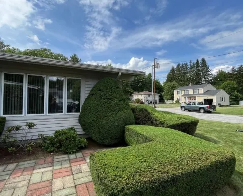 work photo from limitlesslawn.com