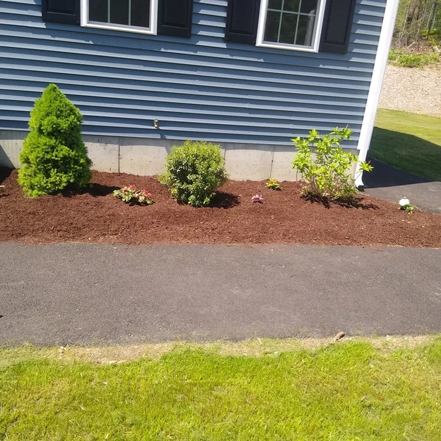 Arka Landscape & Junk Removal work photo