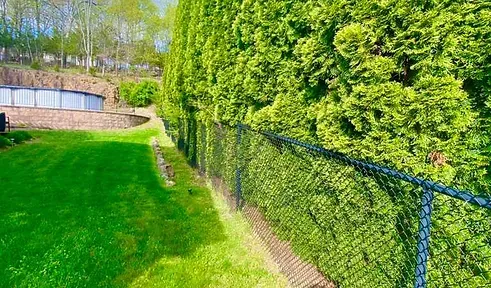 Chain Link Fencing
