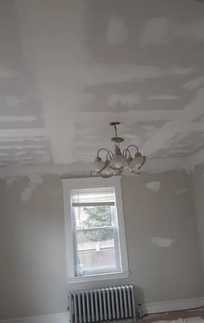 Ryans Painting Plus Carpentry And Handyman Services researched project photo