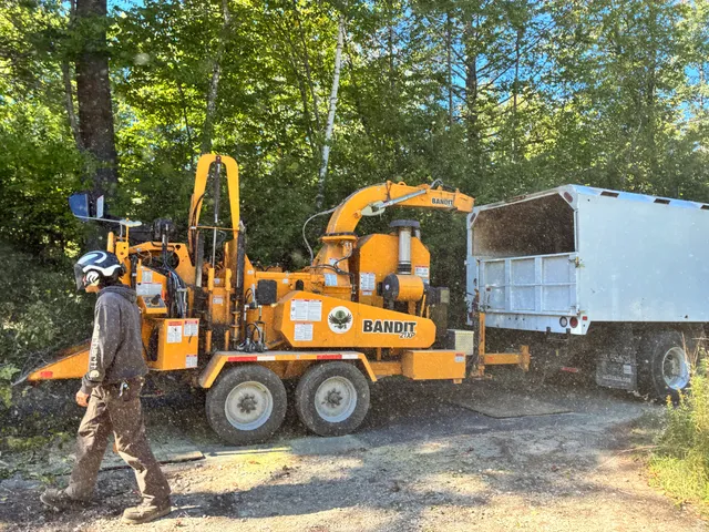 Timber Falls Tree Care work photo