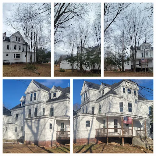 A F Roy Tree Services work photo