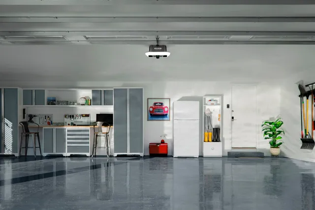 garage door 1