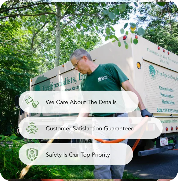 work photo from treespecialists.com