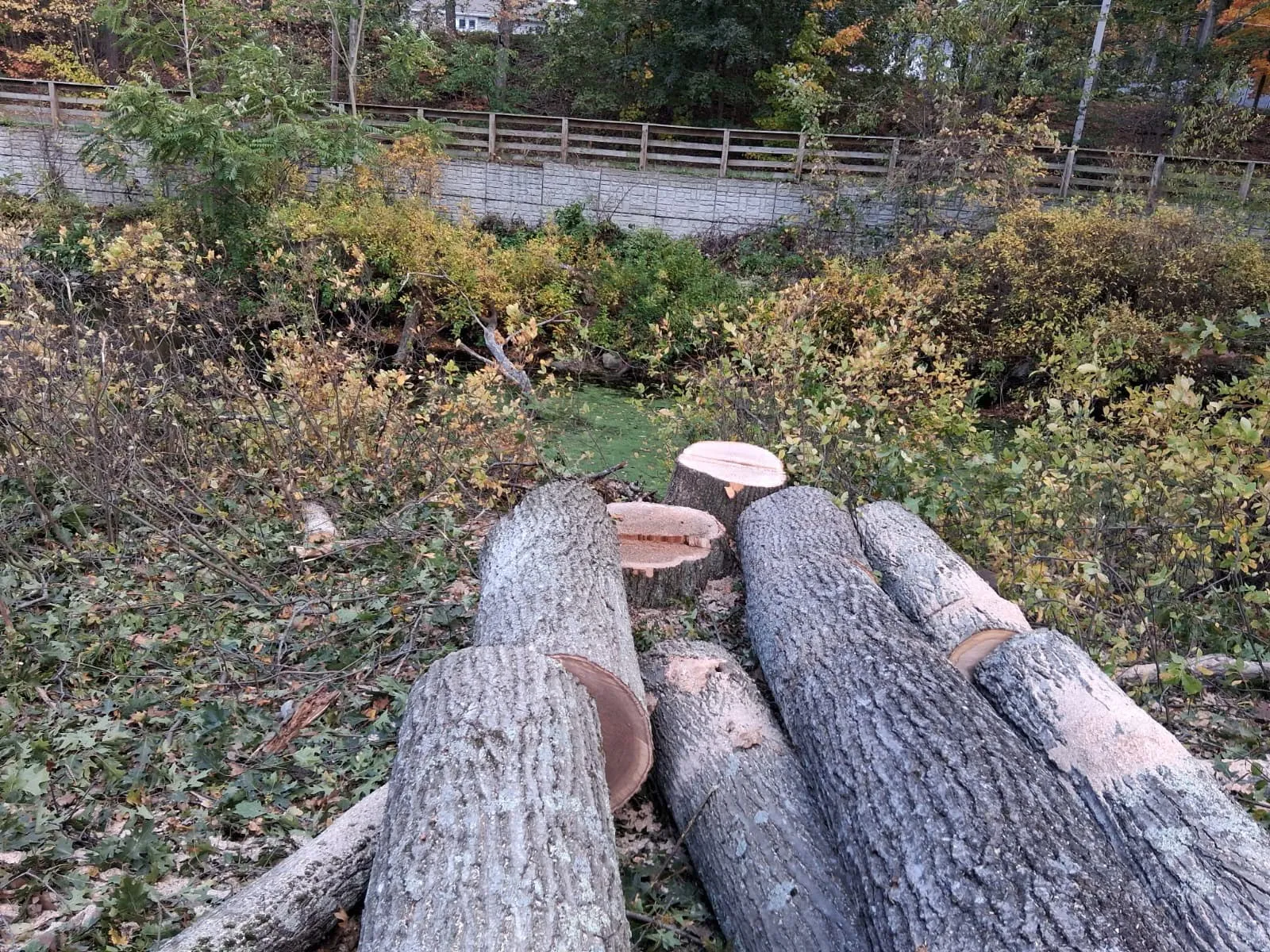 Adan Landscaping & Tree Services Inc