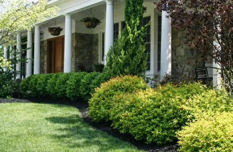 White-columned house porch with lush green shrubs and lawn in front