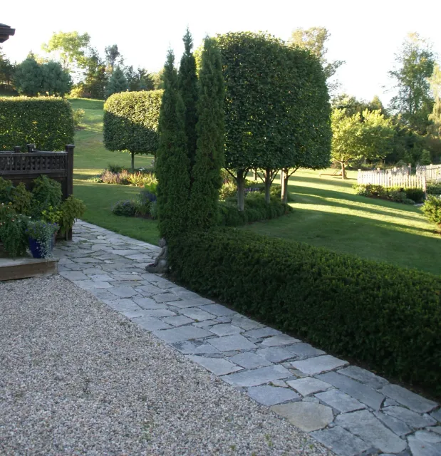 9-24-2010 002.JPG