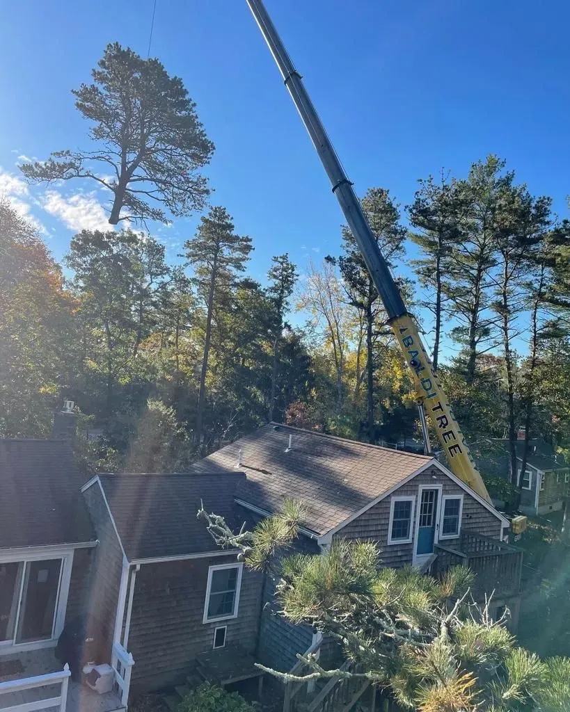 Crane Service