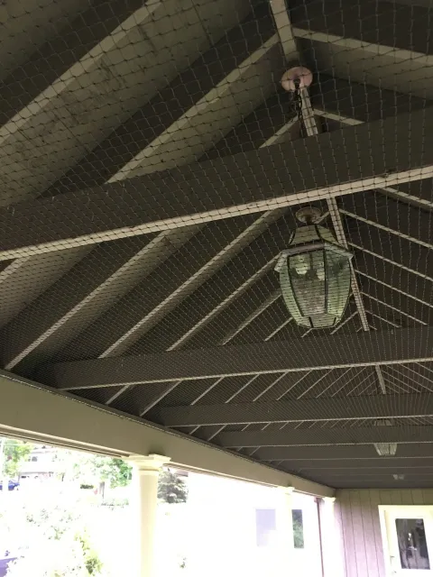 Bird Net Exlusion - Acorn Wildlife Solutions - Russell, MA