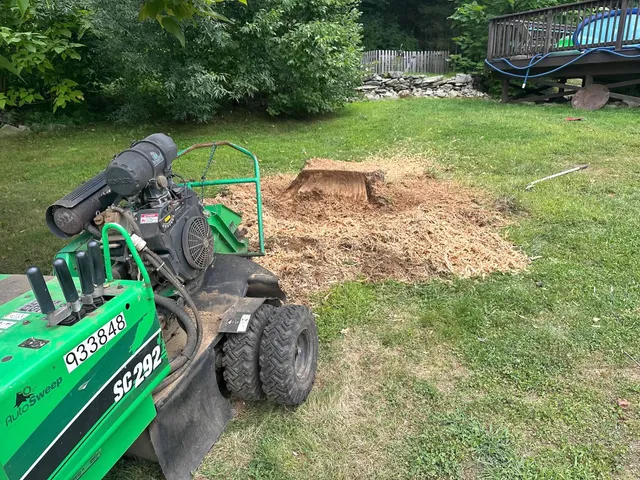 South County Stumps work photo