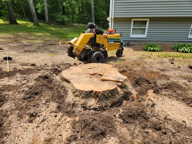 Prime Tree Service work photo