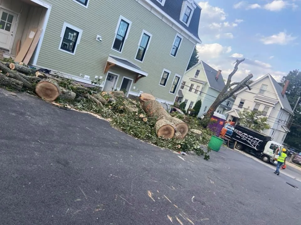 Boston Landscaping and Lawn Specialist