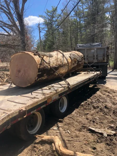 work photo from radketreeservice.com