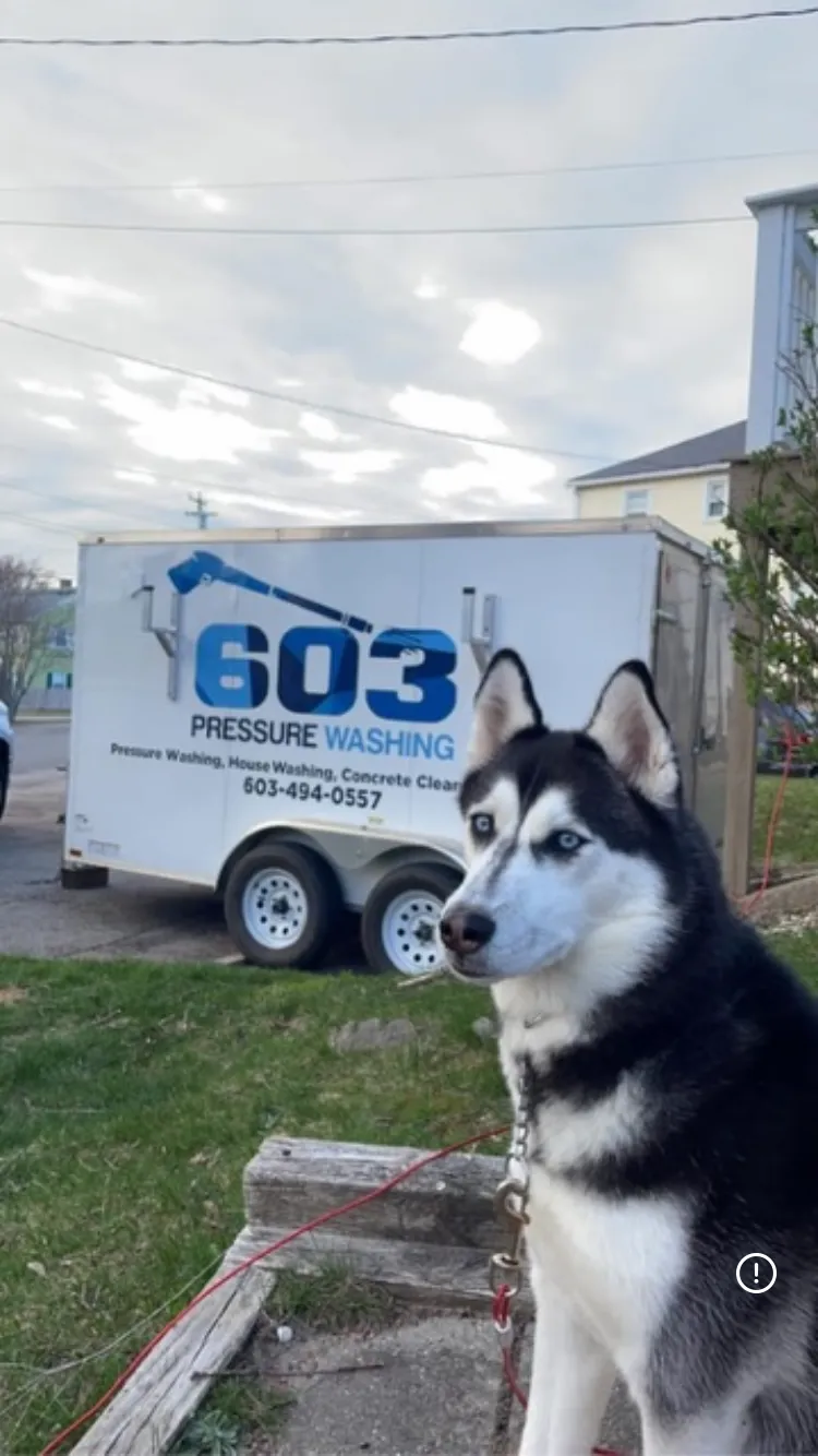 work photo from Google listing