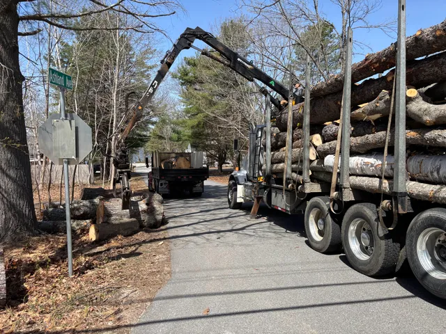 Roger Duncan Tree Services LLC work photo