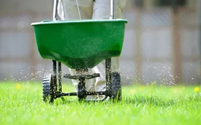 Spring Lawn Care Guide for Norwalk Homeowners