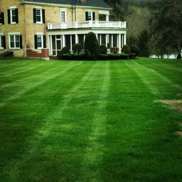 Landscaping
