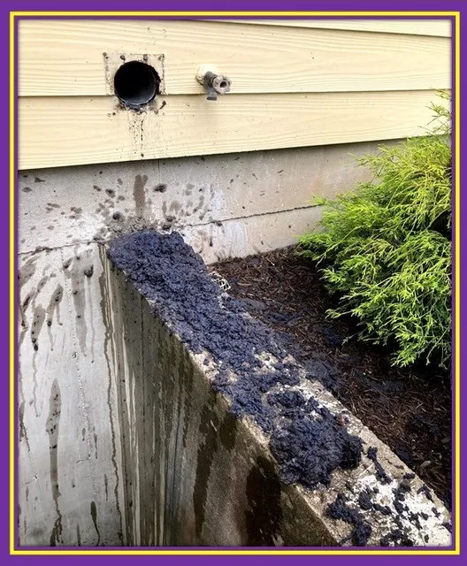 M&A Dryer Vent Cleaning & Termite Pest Control Services Of MA work photo