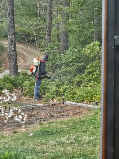 Mosquito Squad of Southern New Hampshire work photo
