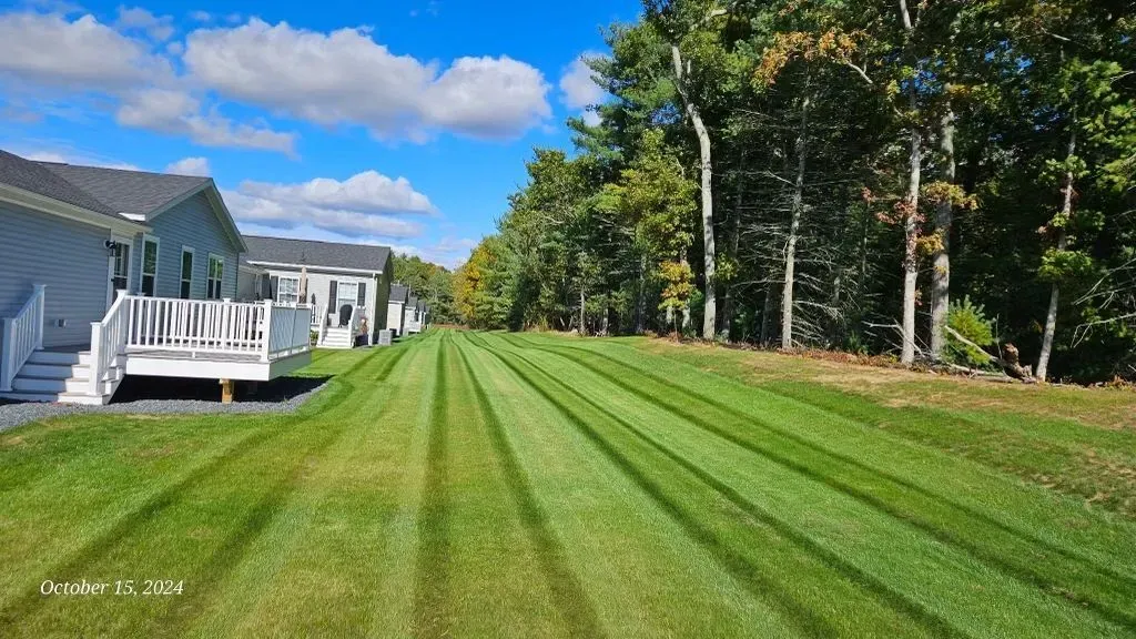 Freshly mowed green lawn beside a gray house, with trees and blue sky in the background