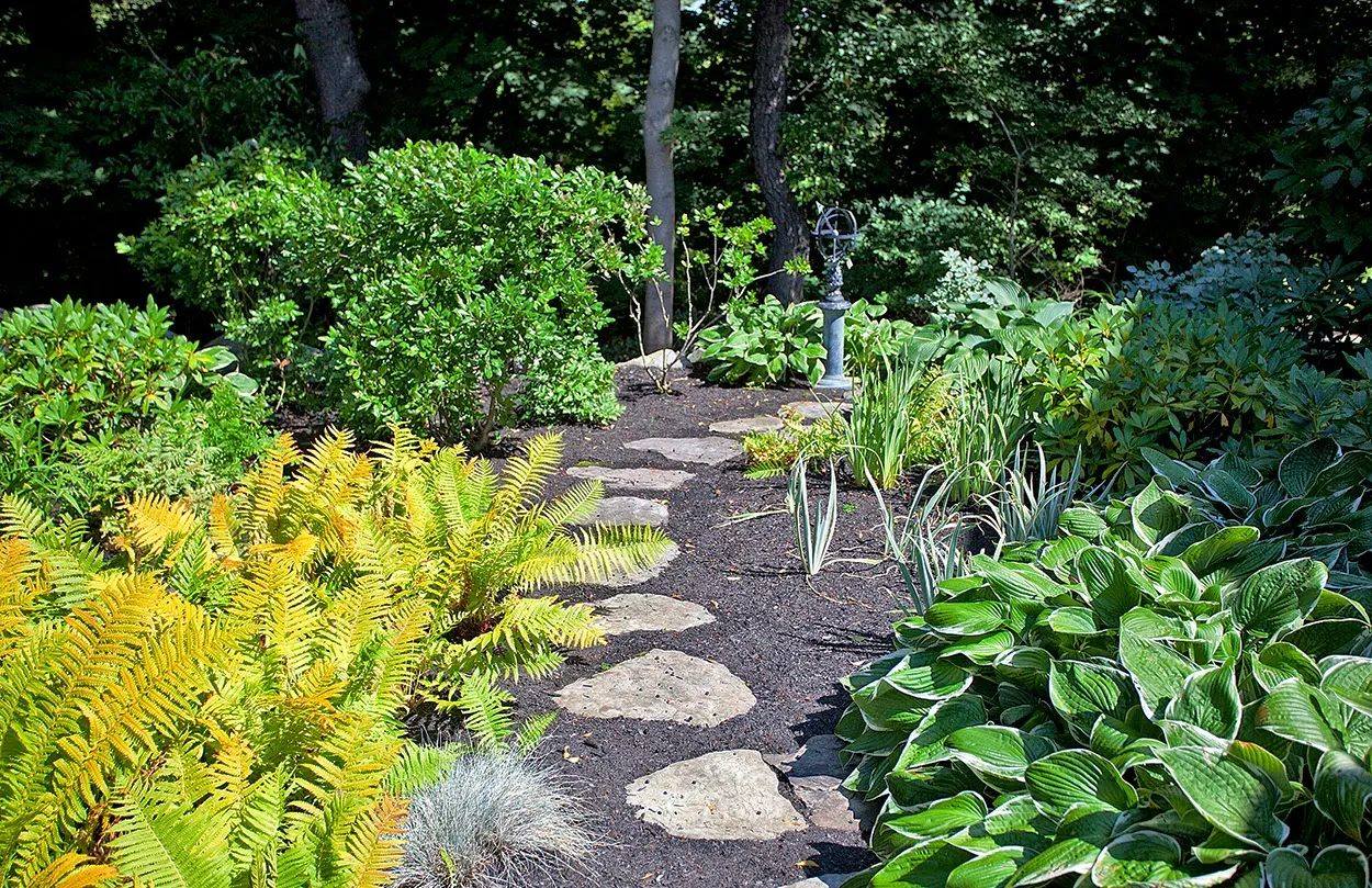 Forgione Landscaping