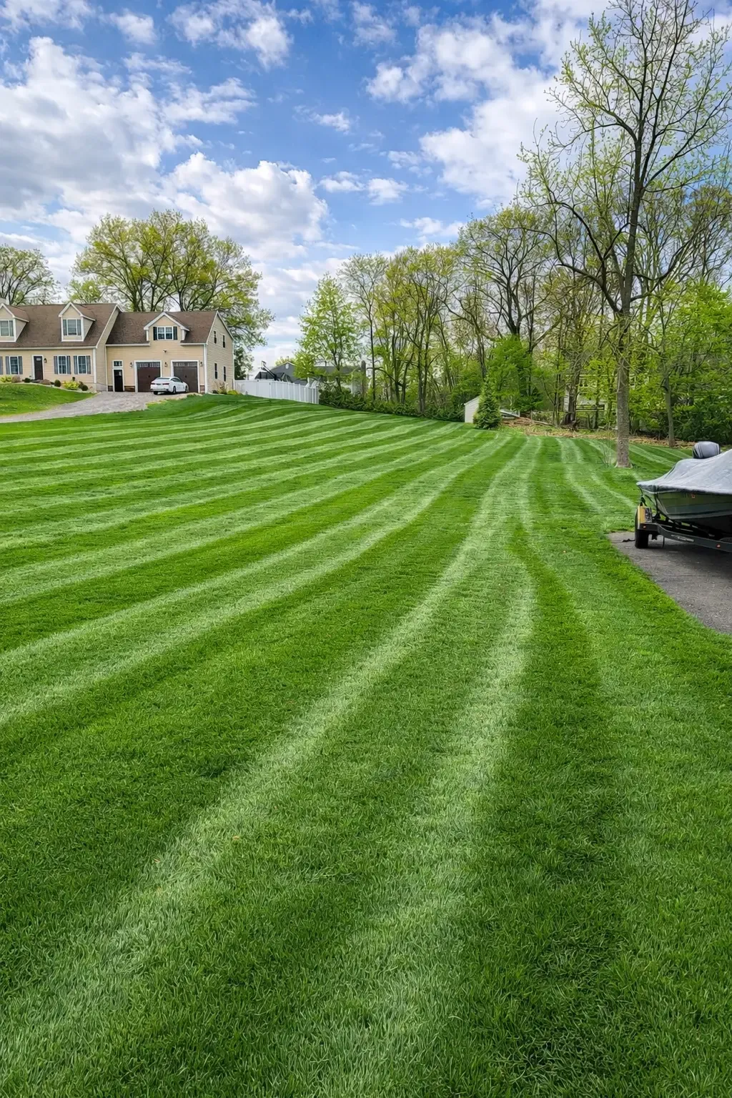 Freshly mowed residential lawn with crisp mowing stripes in central Connecticut