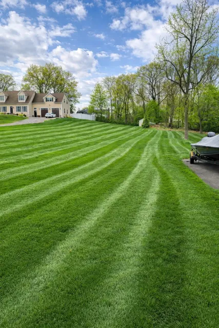 Freshly mowed residential lawn with crisp mowing stripes in central Connecticut