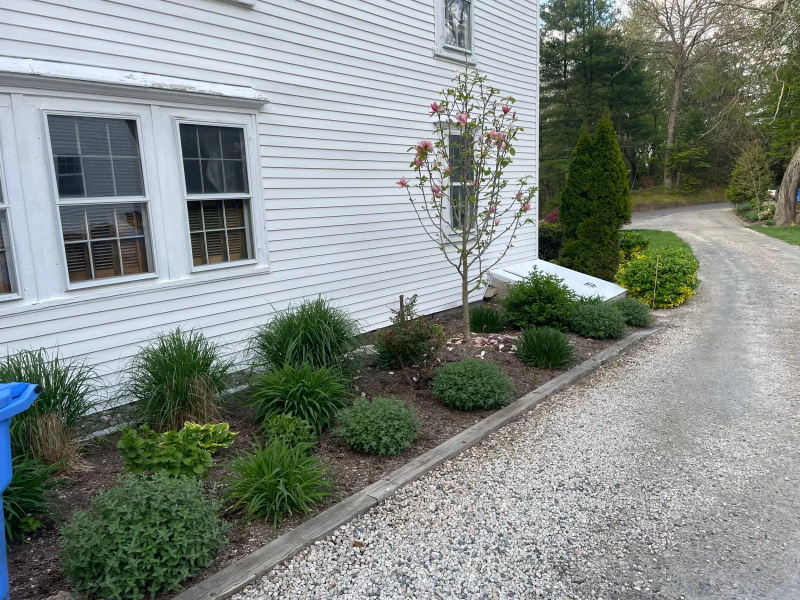 Garden with shrubs and plants next to a white house with gravel driveway.
