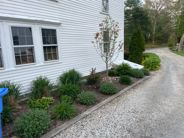 Garden with shrubs and plants next to a white house with gravel driveway.