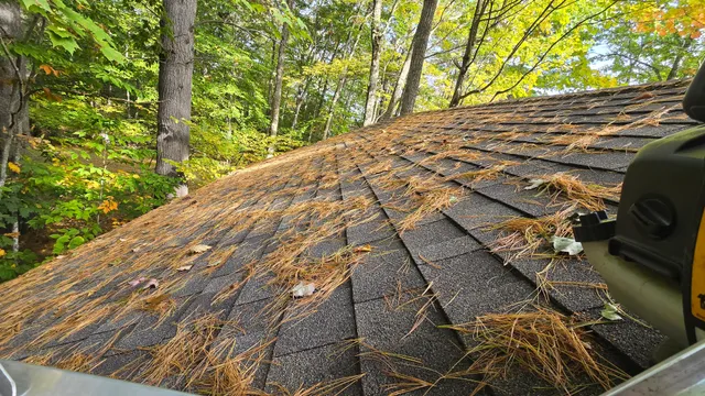 Roof covered in pine needles before blow-off
